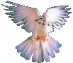 Experience the Love of God: Embrace Everlasting Life with Faithful Choice Apparel